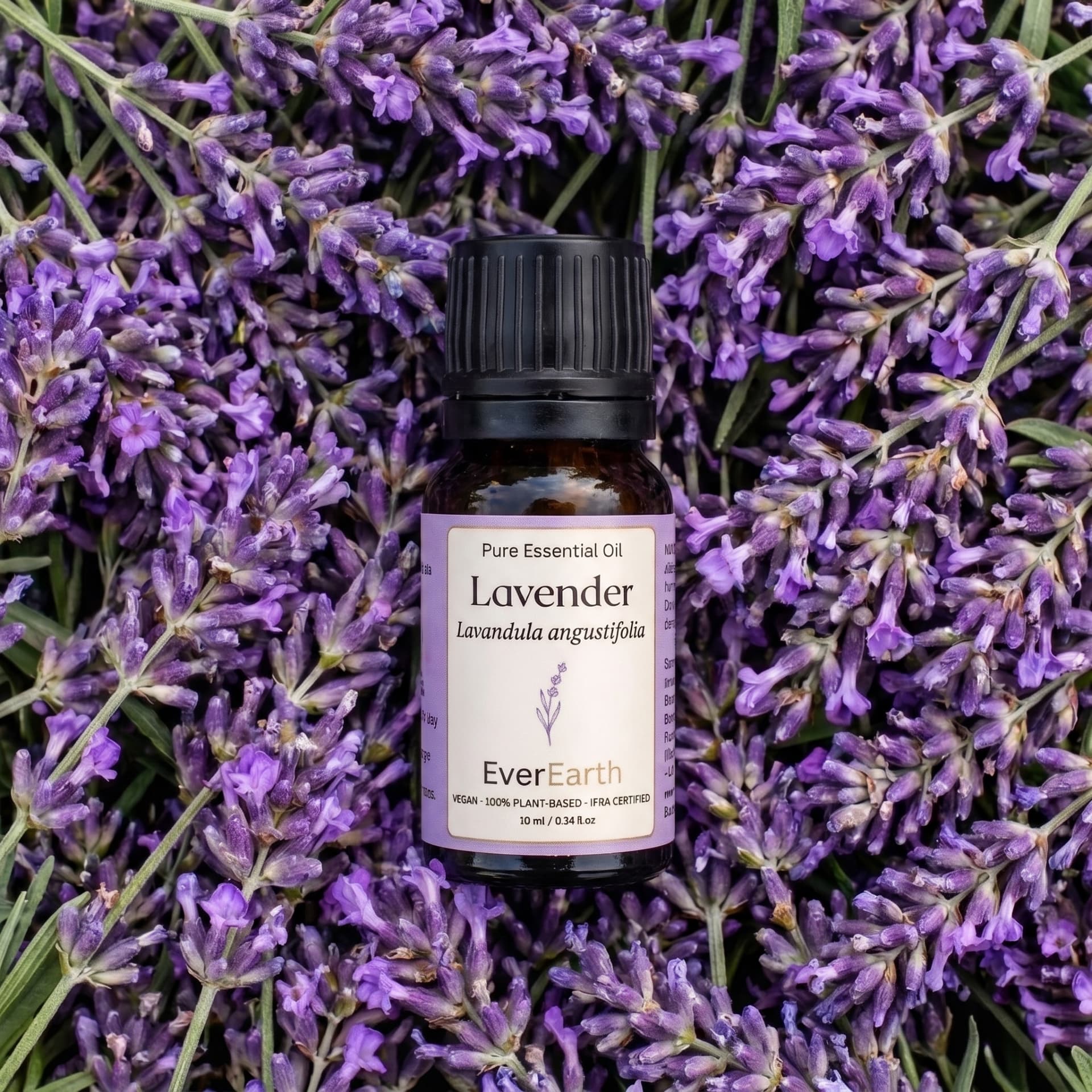 Header image for the EverEarth journal post: Lavender Oil: Benefits, Uses, and How to Get the Most From One Bottle